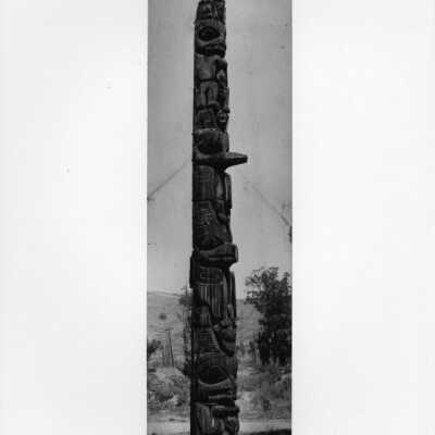 Origformat: Print-Photographic
