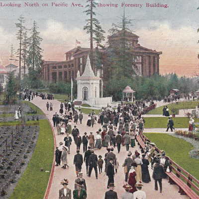 Looking North on Pacific Ave., showing Forestry Building