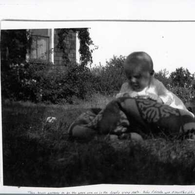 Photograph