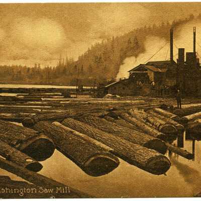 Postcard, Photographic, Photographic