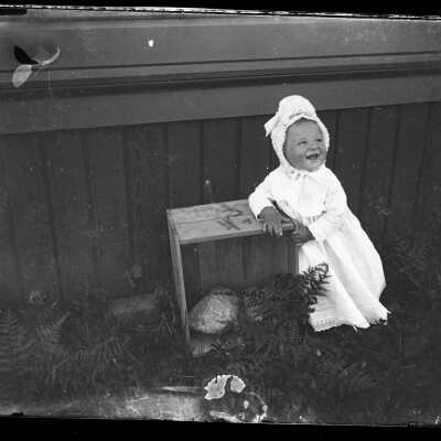 Negative, Glass-plate