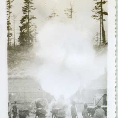 Print, Photographic