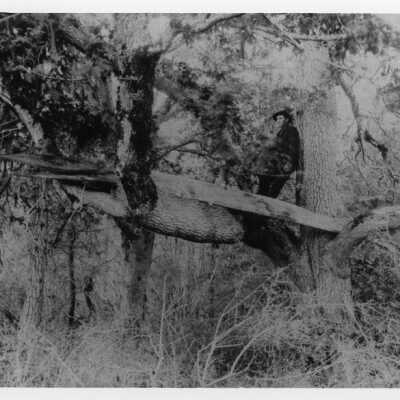 Origformat: Print-Photographic