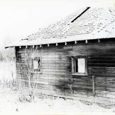Photograph