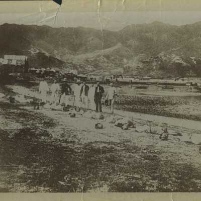 Photograph