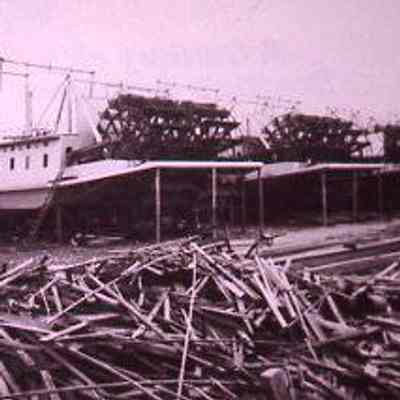 Timber in Shipyard