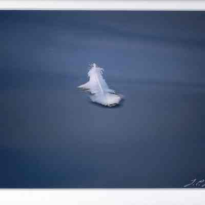 Adrift