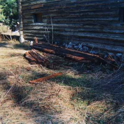 Photograph
