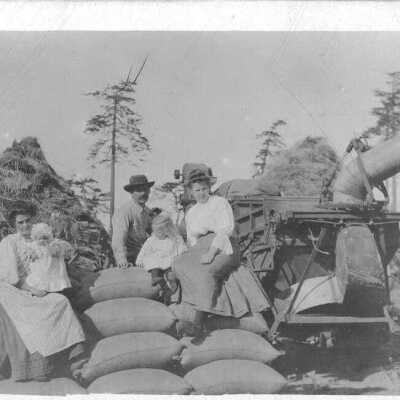 Postcard, Photographic