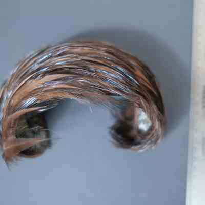 402 - brown feather hat