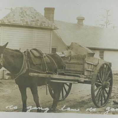 Fort Casey horse and cart - Postcard, Photographic