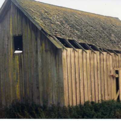 Photograph