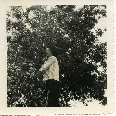 Photograph