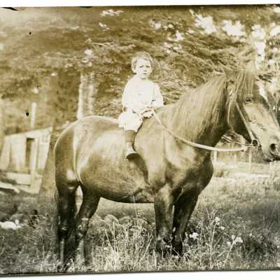 Print, Photographic