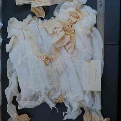 Organdy Dress Suit