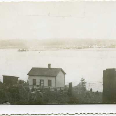 Photograph