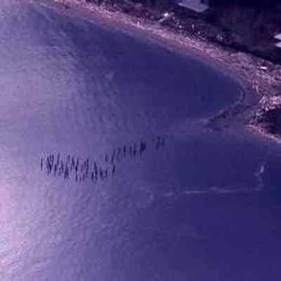 Remains of Greenbank's Dock