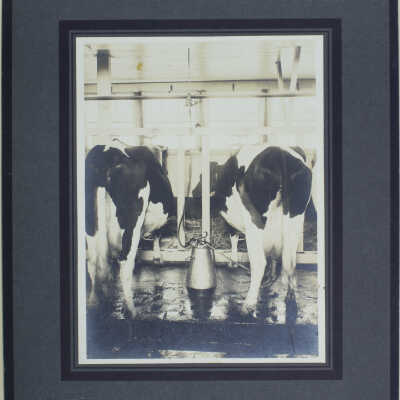 Print, Photographic