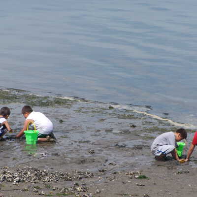 Building sandcastles