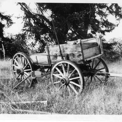 Photograph