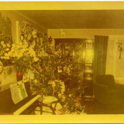 Print, Photographic
