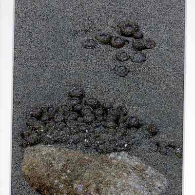 Bubbling April