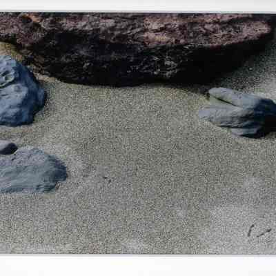 February Footprints