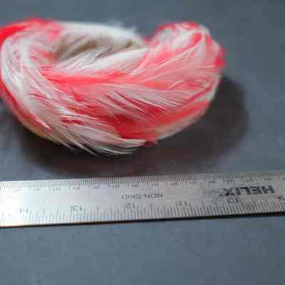 403 - red/white feather hat: Murriel Short