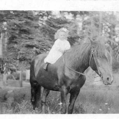 Postcard, Photographic