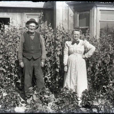 Negative, Glass-plate