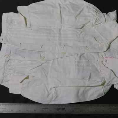 Shirtwaist