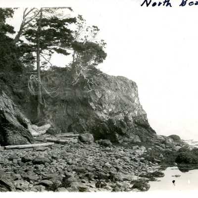 Postcard, Photographic, Photographic