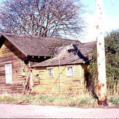 Slide195