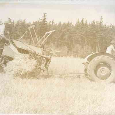 Harvesting Hay