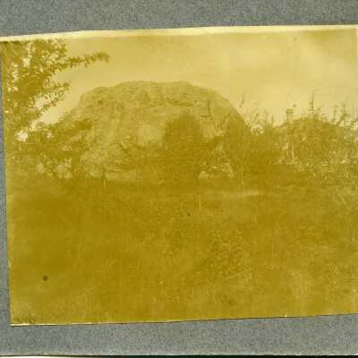 Photograph