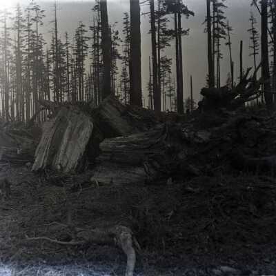 Origformat: Negative