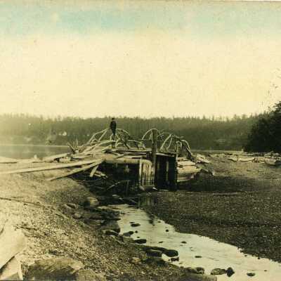 Photograph