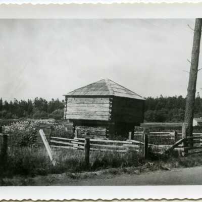 Photograph