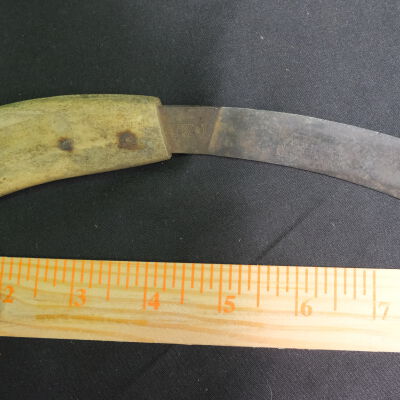 Parer, Hoof