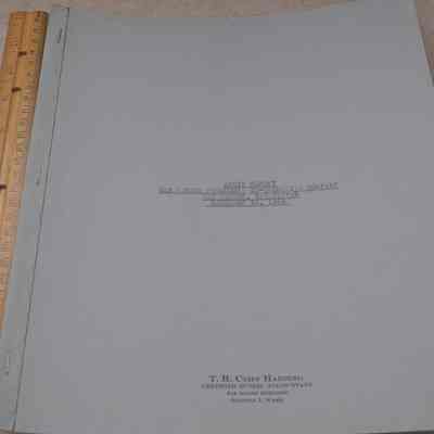 Audit Statement