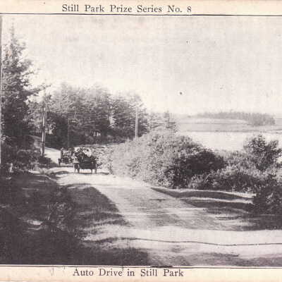 Auto Drive in Still Park: Origsize: 3.5x5.5; Origformat: Print-Photographic