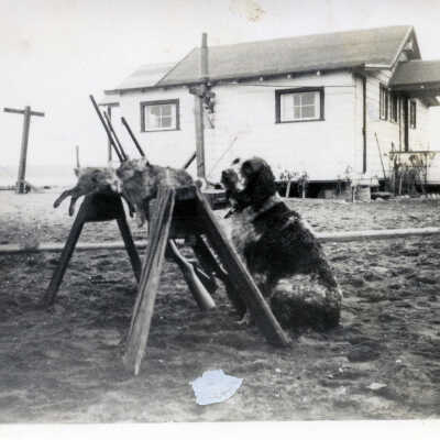 Photograph