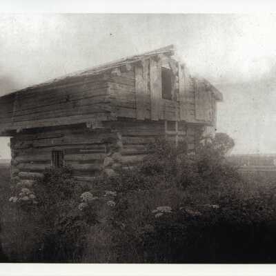 Photograph