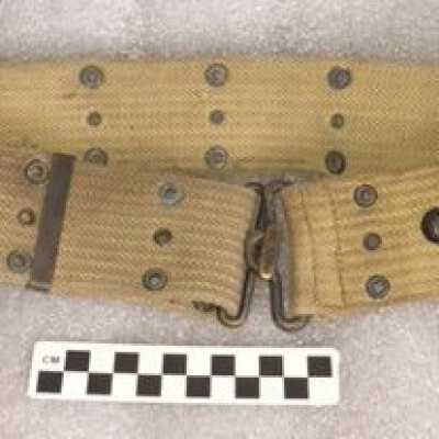 Belt