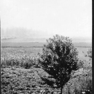 Algona, WA: "Home" 1931
