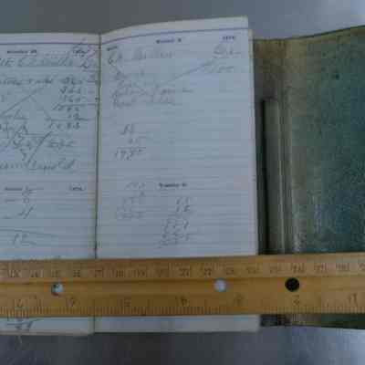 Pacific Diary of 1874