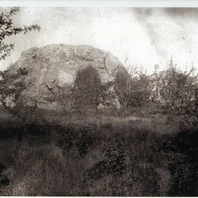 Photograph