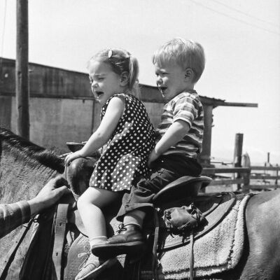Smith Farm Roundup