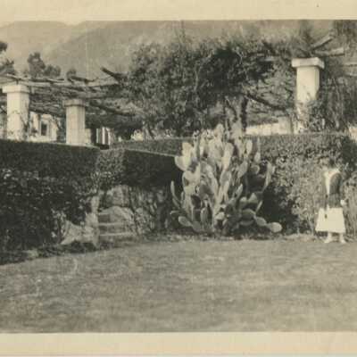 Print, Photographic