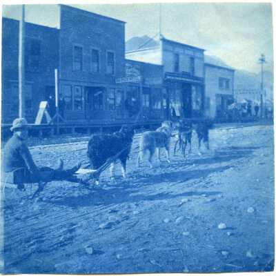 Print, Photographic